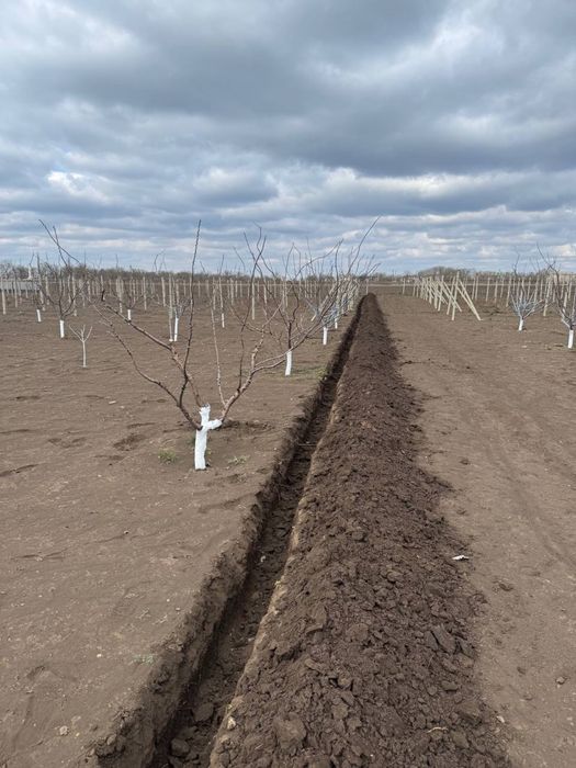 Земляные работы, копка траншеи/ямы/котлована, планировка, гнб прокол