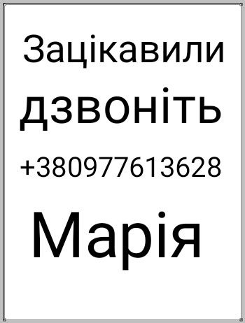 Продам свиню  м'ясної породи на м'ясо