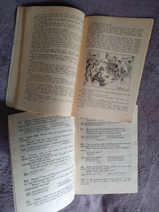 Английский язык. Разговорные темы. Татьяна Гужва