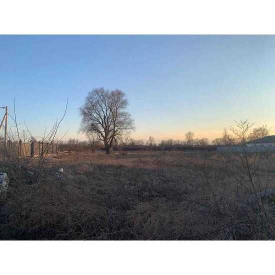 Земельна ділянка 10 соток у селі Осещина