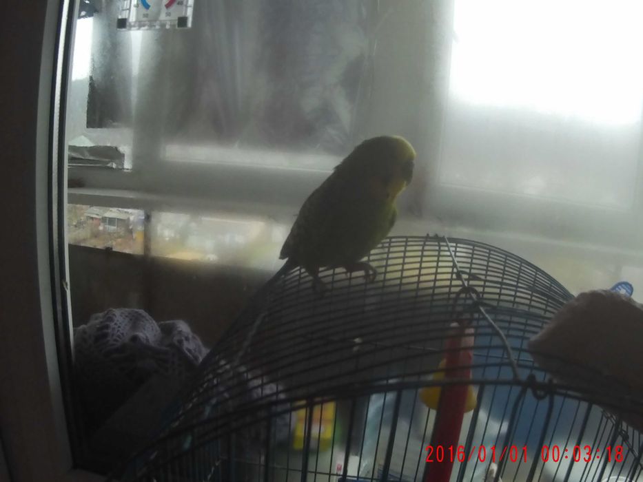 Видеокамера SJCAM SJ4000 Wi-Fi