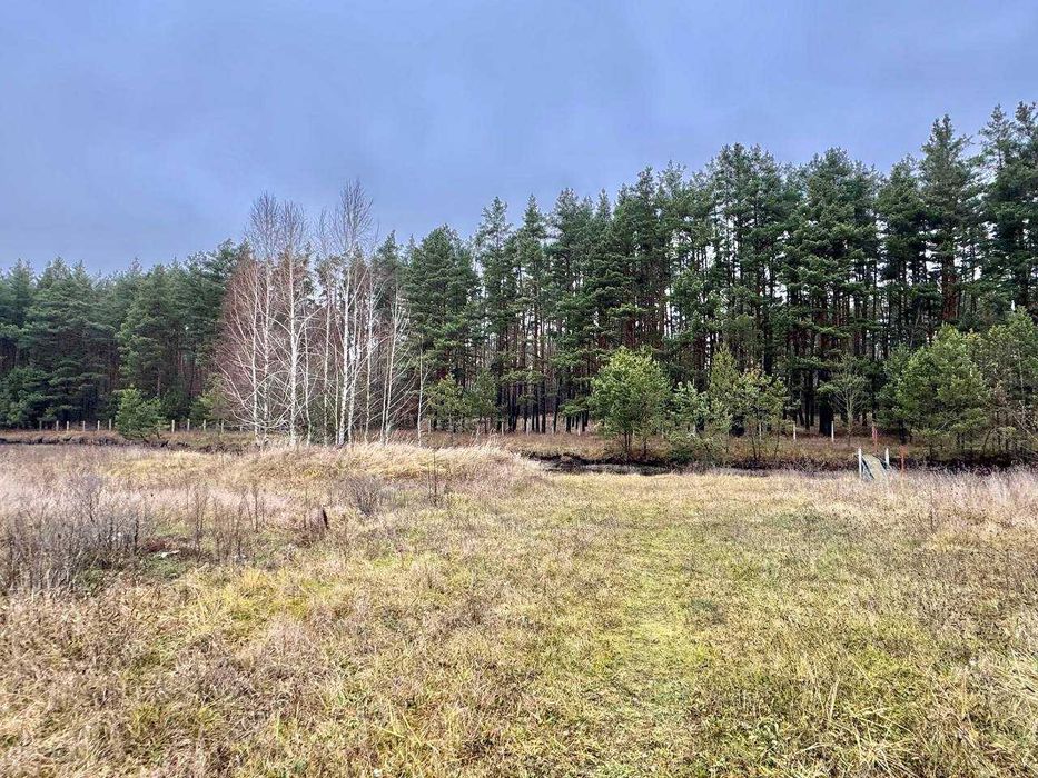 Земельний масив біля лісу! Електрика! Газ! Свердловина! ОЗЕРО!!!