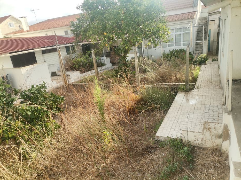 Limpeza de terrenos e jardim