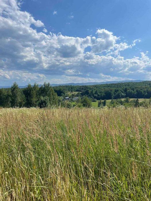 Продам земельну ділянку 25 сотих у с. Вербовець, Косівський р-н