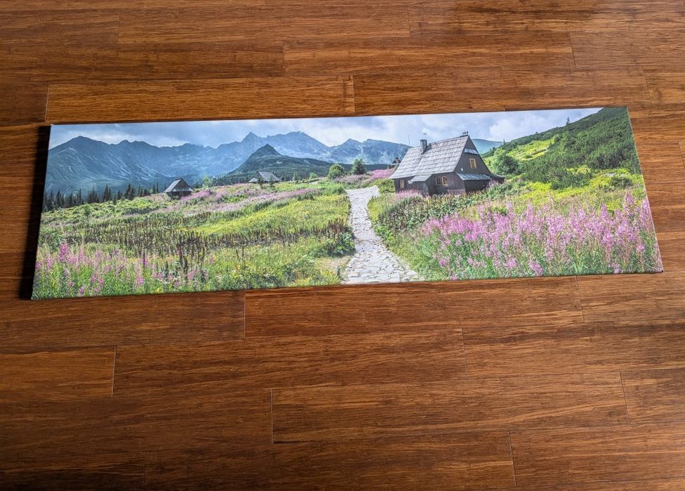 Obraz na płótnie 170 x 50