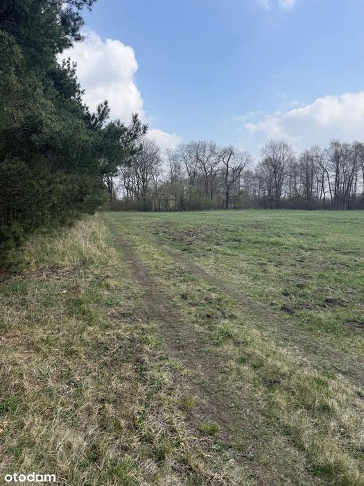 Zjawiskowa działka 1.34ha-możliwość zabudowy. - Widok 2