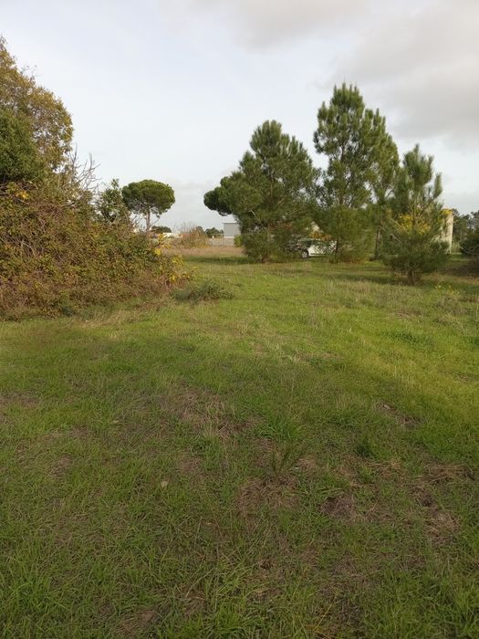 Terreno 300m2, 5mil euros de entrada