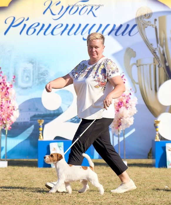 Хлопчики ДРТ для в'язки