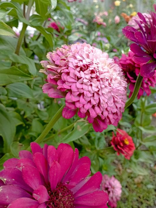 Одяг та взуття для