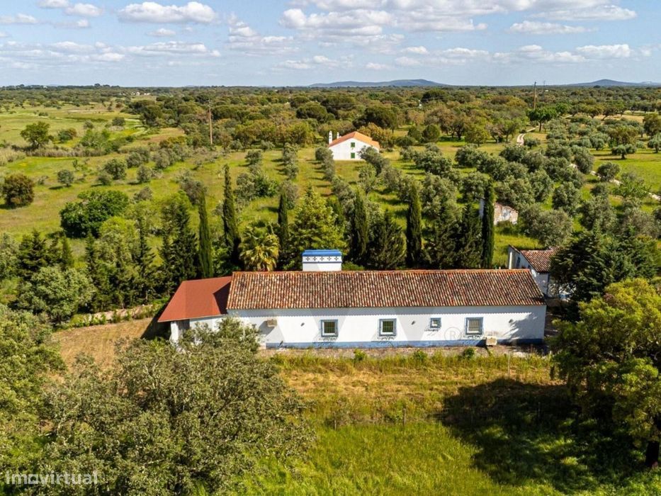 Monte Alentejano - Moradia T3 térrea, com piscina, em Pavia, Mora