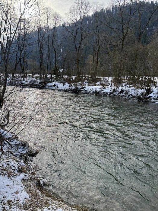 Продаж ділянки біля лісу та річки Головецько ( Тухля)