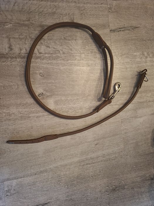 Trela e coleira de cabedal para cão grande