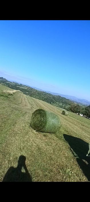 Sianokiszonka kiszonka siano bele