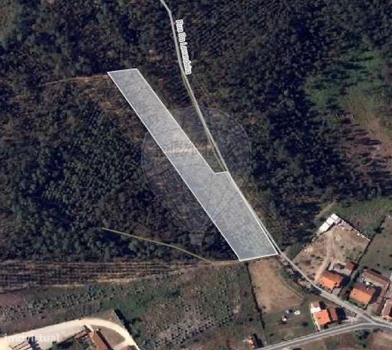 Terreno  para venda