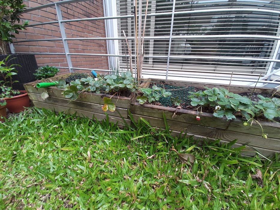 Dá-se 3 floreiras de madeira