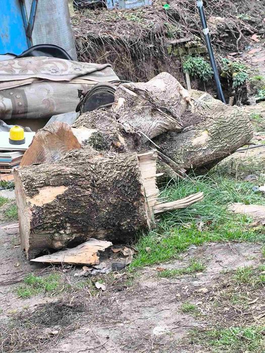 Деревина для обробки, дрова