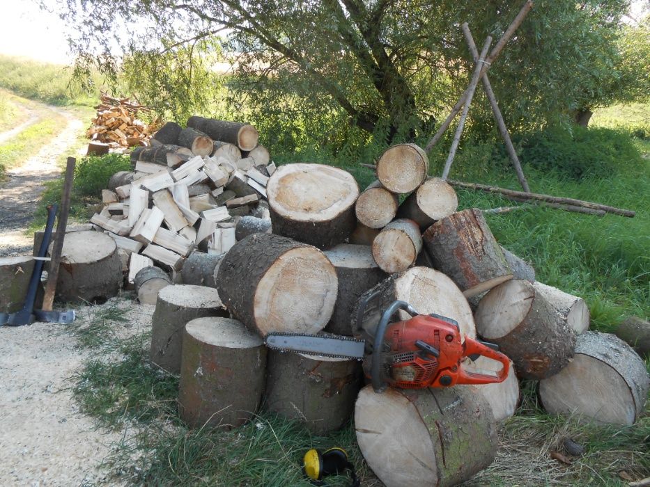 drewno drzewo opałowe żerdzie belki