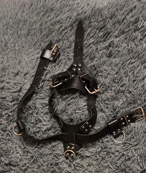 Коженая шлейка для собаки