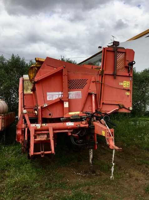 Colhedora batata Grimme 75 40