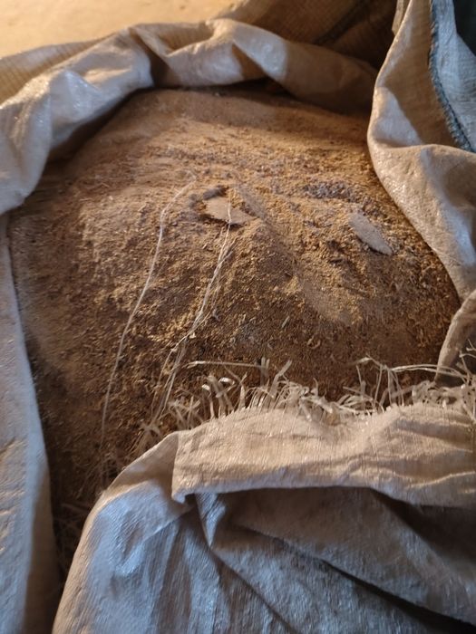 Продам тырсу опилки ДСП в мешках. 30 грн-мешок.