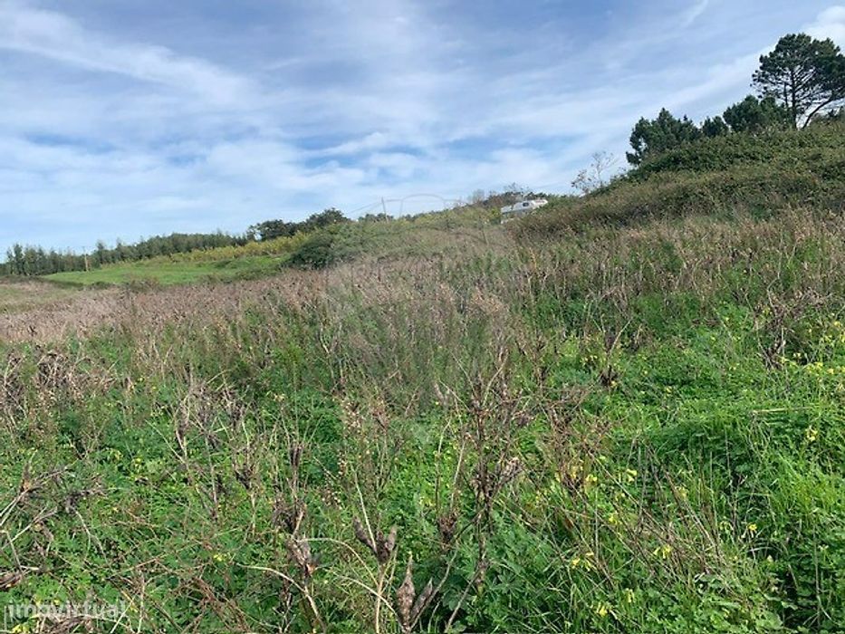 Terreno  para venda — Monchique, Faro