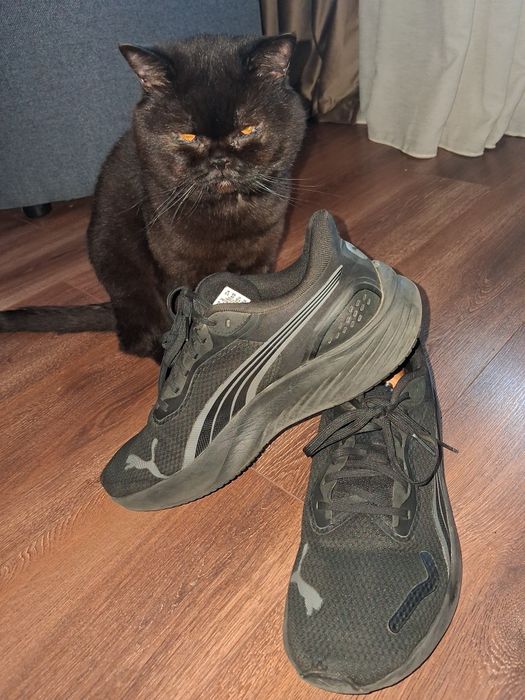Чоловічі кросівки Puma оригінал