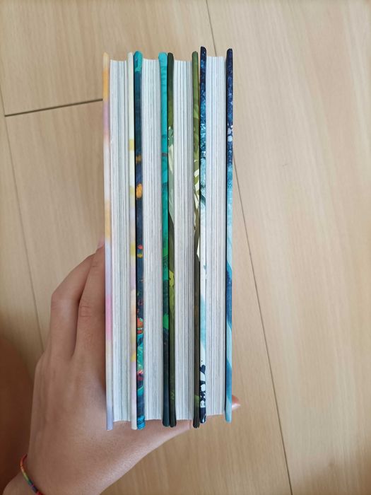 4 livros- coleção "encanto"