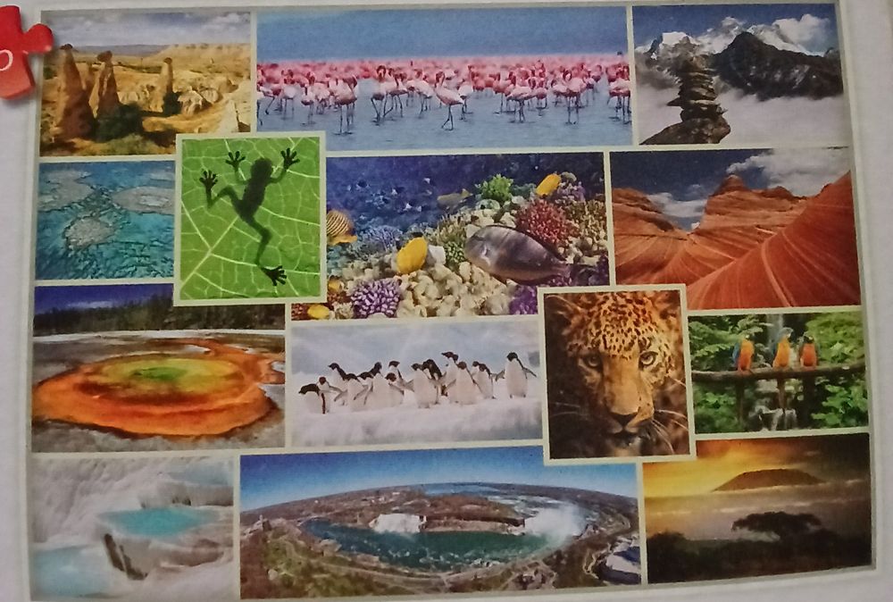 Puzzle 2 x 1000 trefl piękne widoki