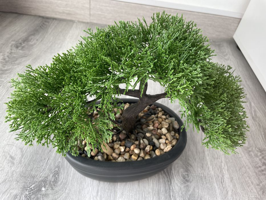 Bonsai artificial
