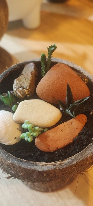 Квіткові композиції