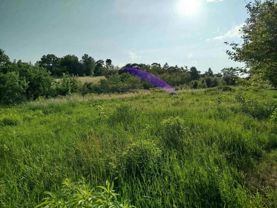 (8) Продам земельну ділянку в Бохониках 8614