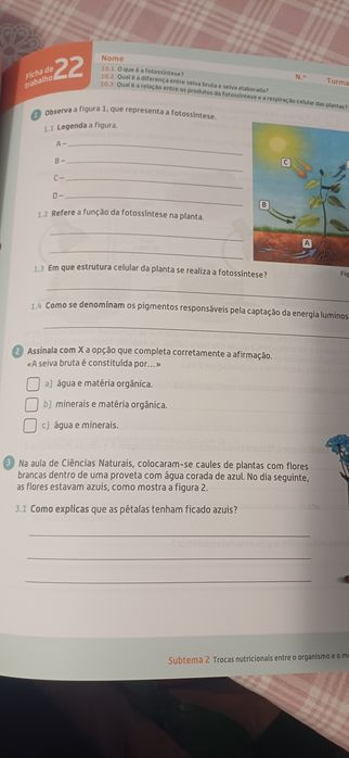 Caderno actividades ciências 6ano