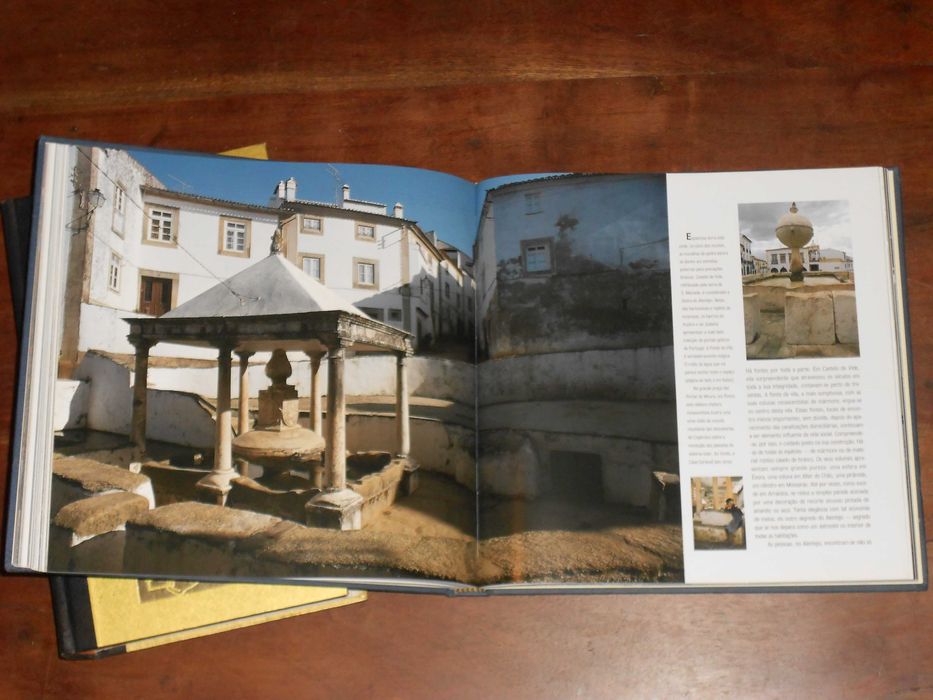 Livros Arte Viver em Portugal - Stoop e Tesouros Artisticos Portugal