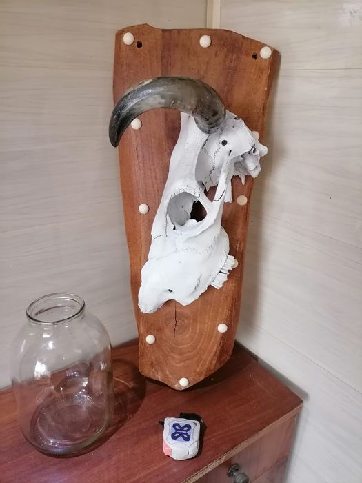 Настенный Декор Череп Голова Коровы на Дереве