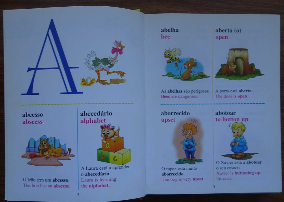 Dicionário Português Inglês Ilustrado - Primeira Biblioteca