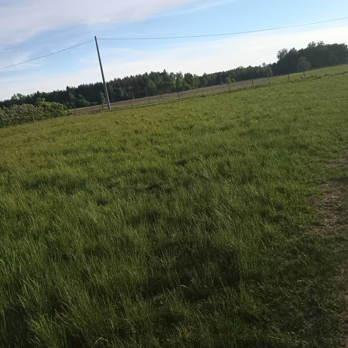 Działka budowlana,ok 13 arow/warunki zabudowy/Rudka koło Szczytna/Wszystkie media - Więcej