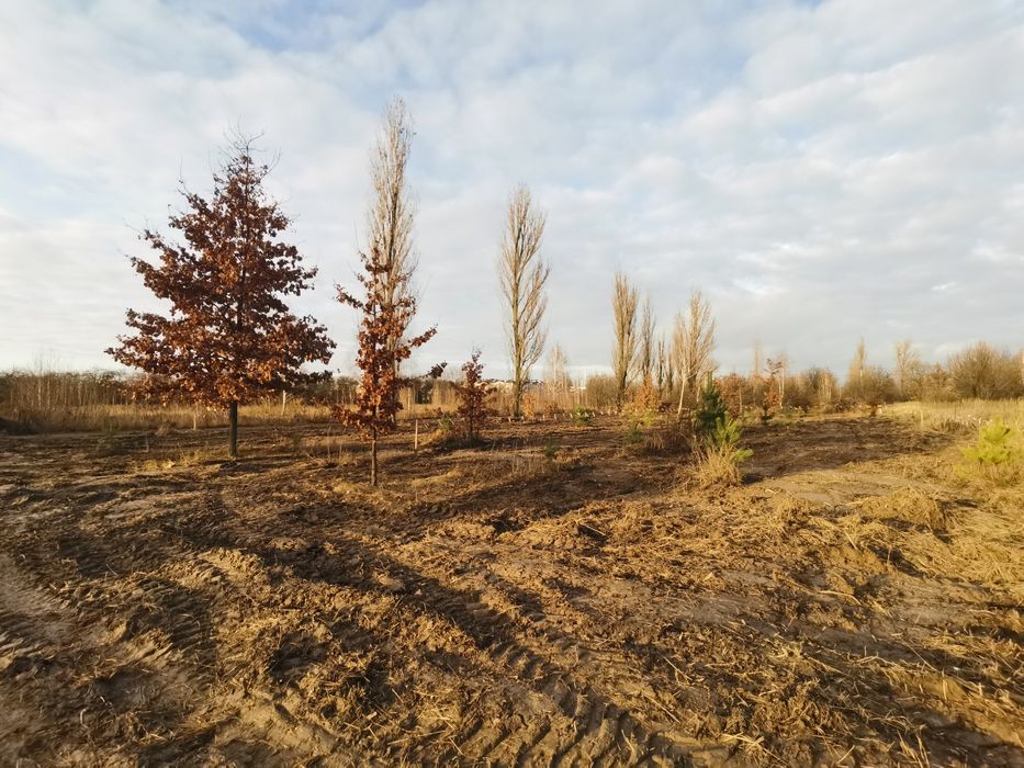 Ділянка 10 сот під будівництво 32000$ Білогородка