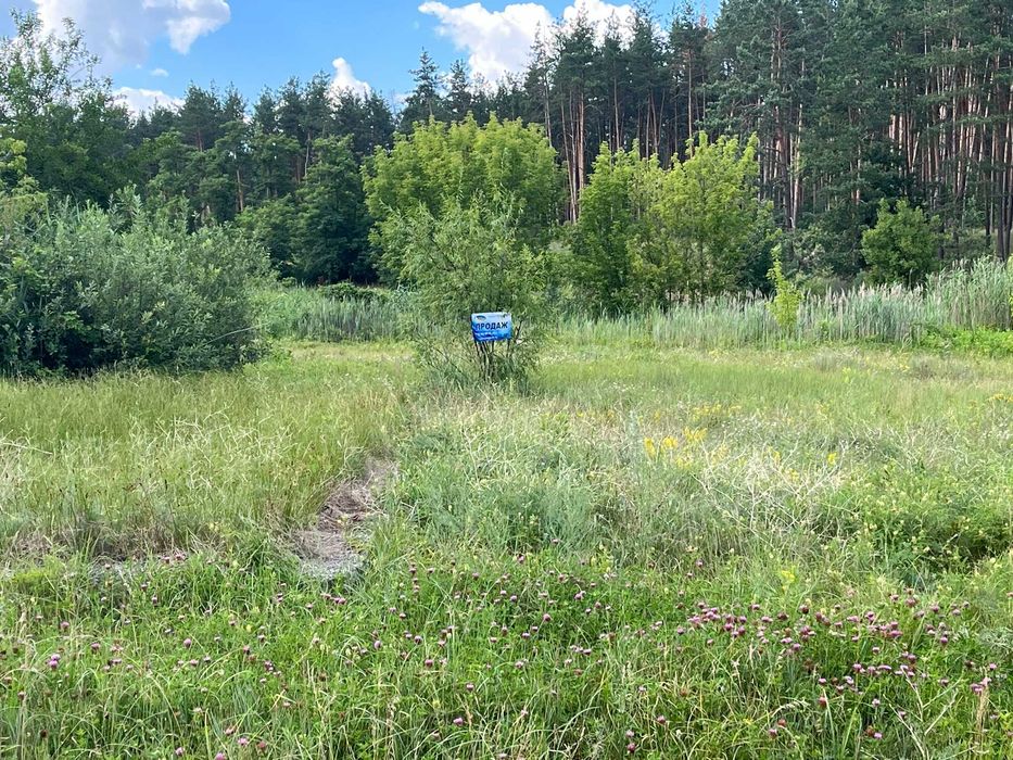 Пропонуємо до продажу земельну ділянку в с. Лозівок