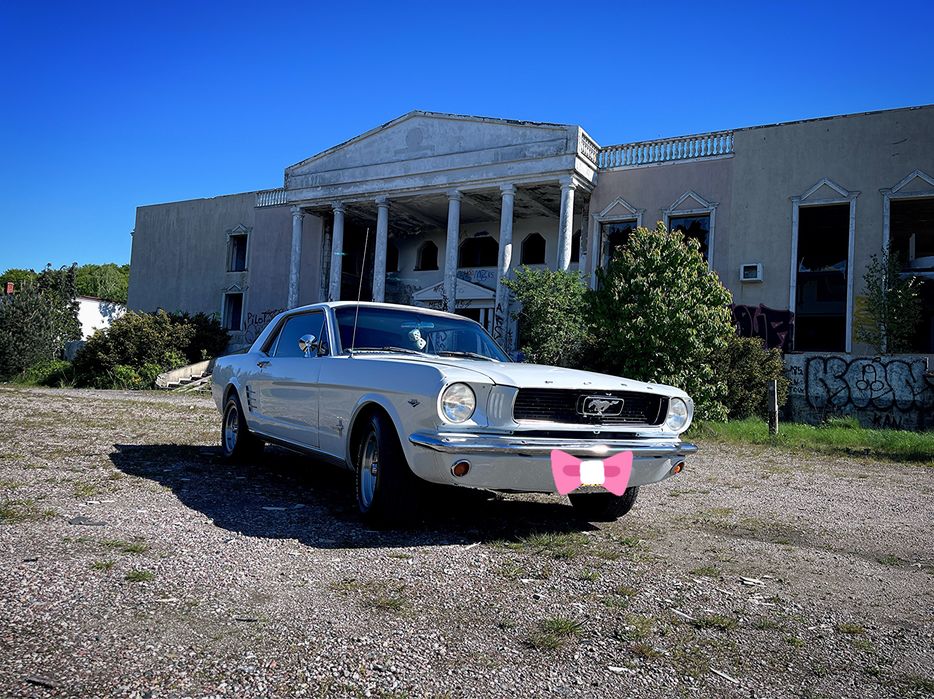 Samochód do ślubu Mustang 1966 Trójmiasto Pomorskie Auto Ślub Klasyk