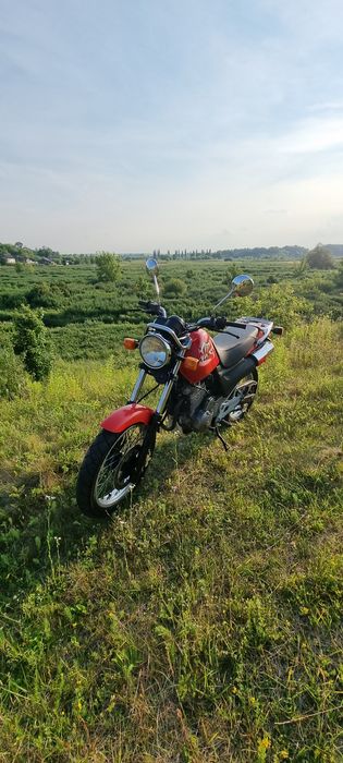 Honda SLR 650 Кубиків Мото