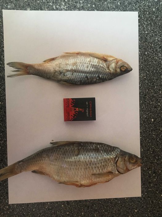 Сушена риба, таранка сушеная