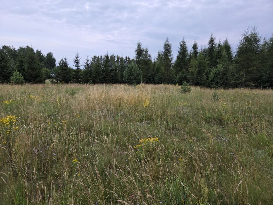 Działka na Mazurach budowlana z wz Mazury