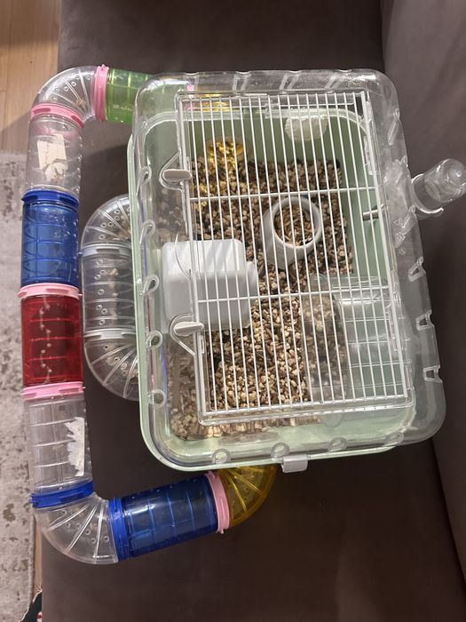 Хомʼяк з кліткою, клітка для хомʼяка