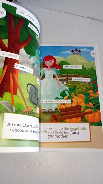 Livros da Coleção - Dicionário Visual Bilingue