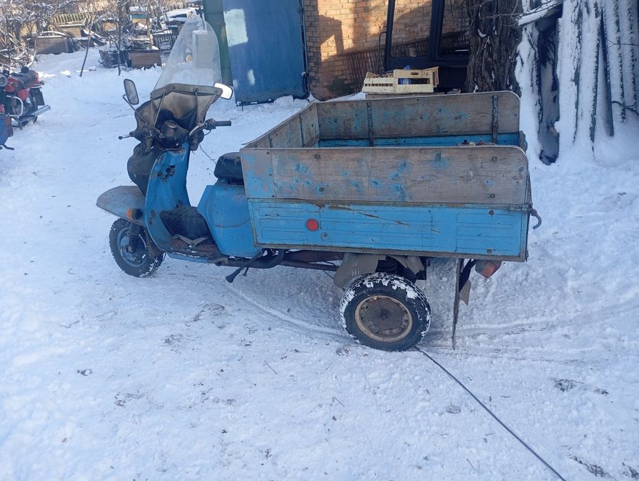 Продам муравей .