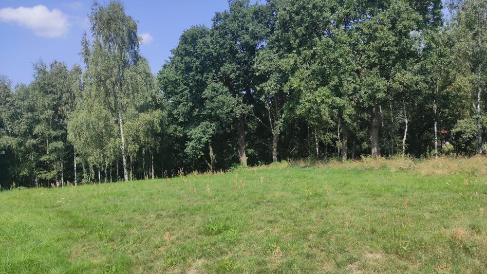 Zdjęcie 5