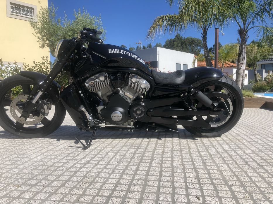 Harley Davison Vrood Muscle
