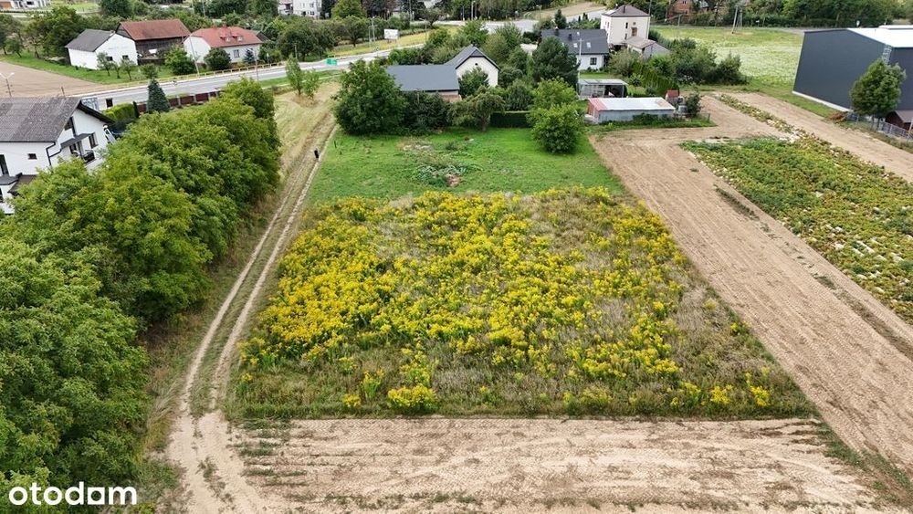 Działka 16,69 ar | Domiarki | budowlano-zagrodowa - Więcej