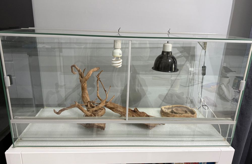 Terrarium 100 x 50 x 40
