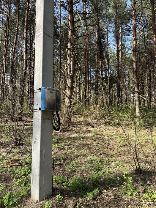 Ділянка 1 гектар в елітному районі Дмитрівки, ліс, асфальт, електрика